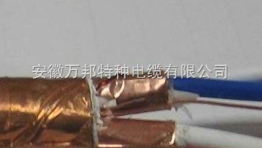 DJYVP2/ DJYP2V~Ӌ(j)C(j)|